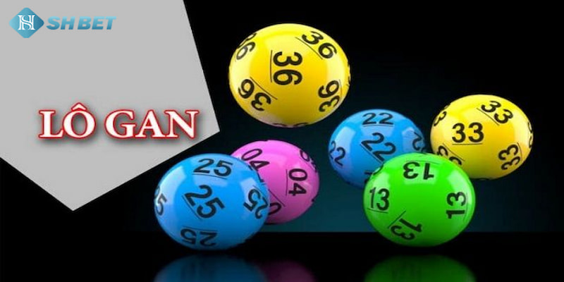 Banner www.banghieugiarehcm.vn