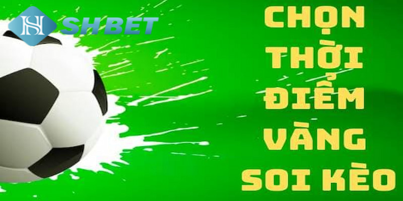 Banner www.banghieugiarehcm.vn