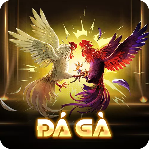 Banner www.banghieugiarehcm.vn