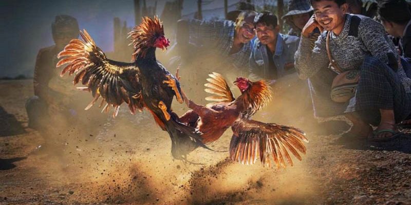 Banner www.banghieugiarehcm.vn