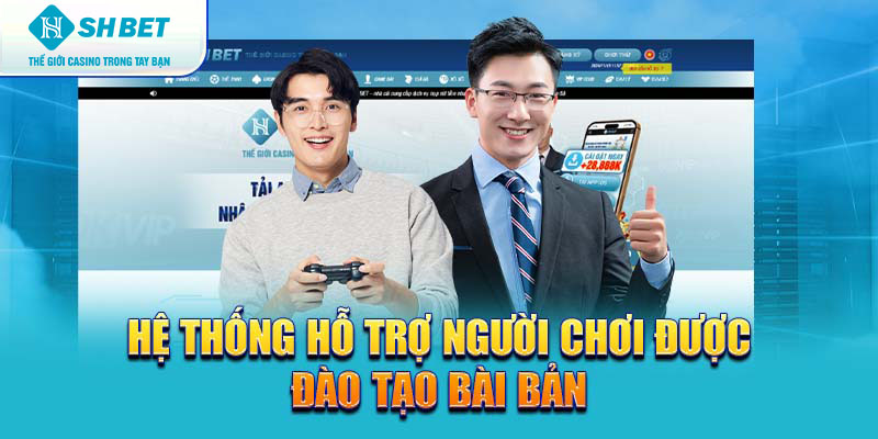 Banner www.banghieugiarehcm.vn