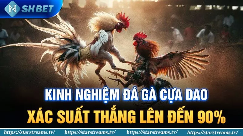Banner www.banghieugiarehcm.vn