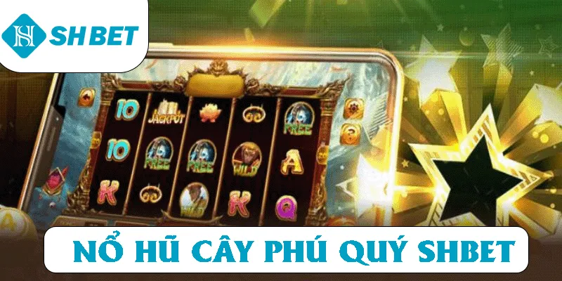 Banner www.banghieugiarehcm.vn