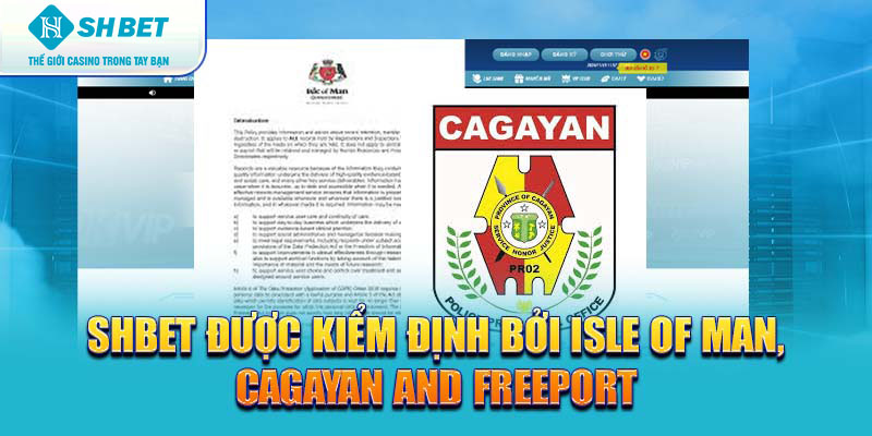 Banner www.banghieugiarehcm.vn