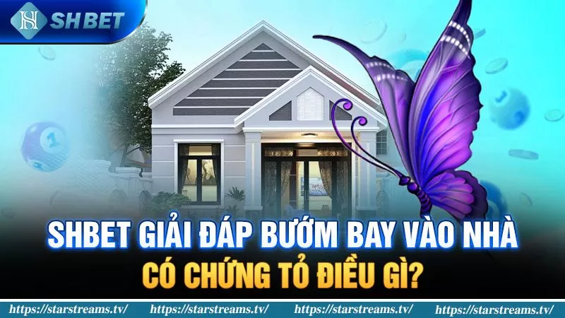 Banner www.banghieugiarehcm.vn