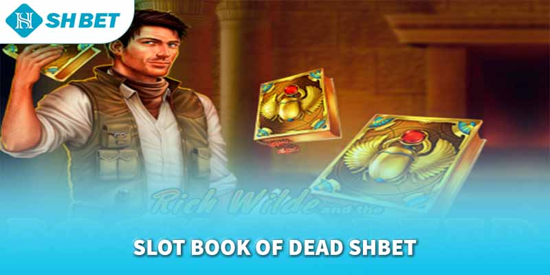 Banner www.banghieugiarehcm.vn