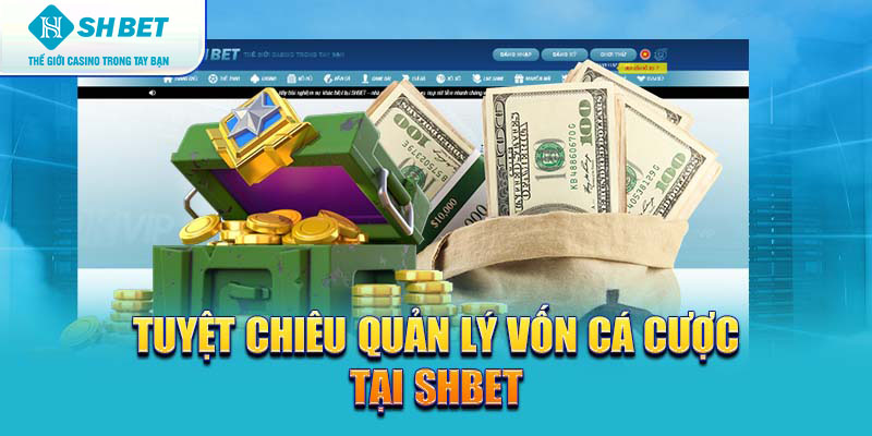 Banner www.banghieugiarehcm.vn